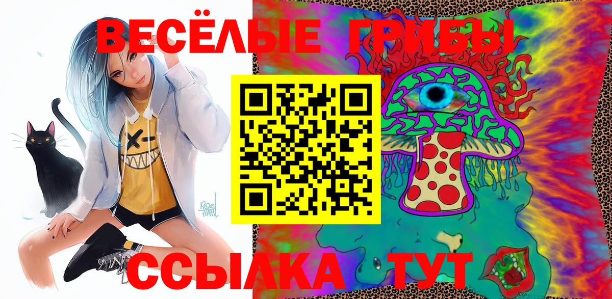 купить   Галлюциногенные грибы Psilocybine cubensis  Вход с VPN  Дальнереченск 